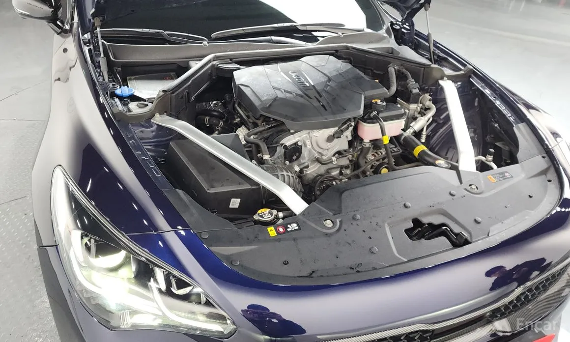 Фото 6 - Kia Stinger