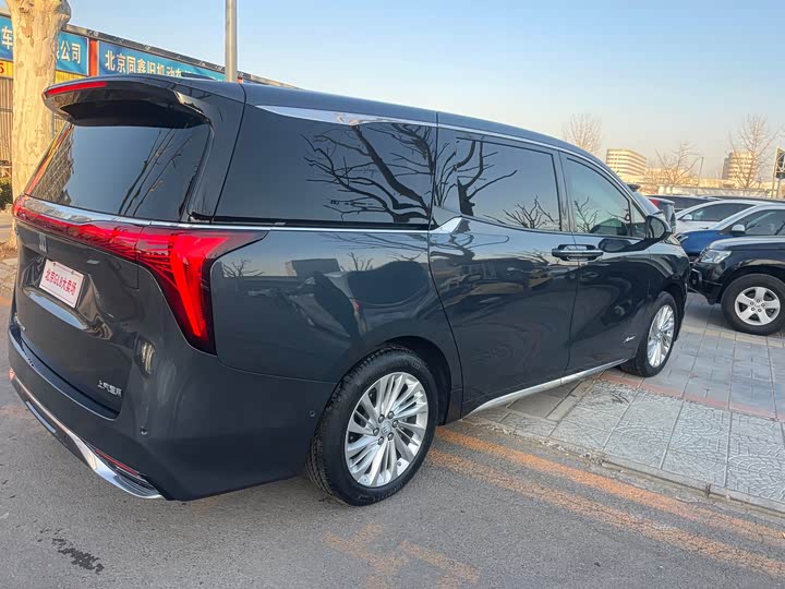 Фото 5 - Buick GL8 Century