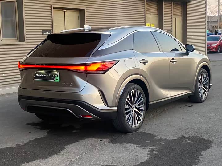 Фото 7 - Lexus RX Hybrid