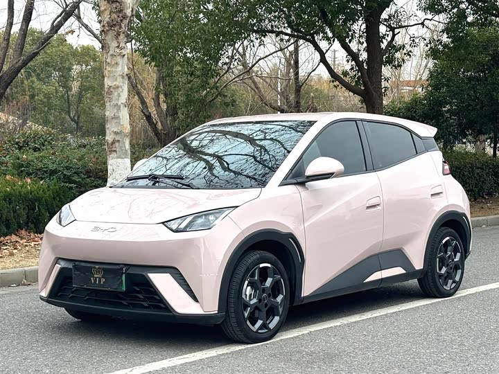 Фото 1 - BYD Seagull