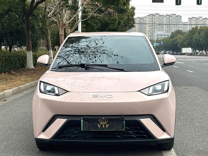 Фото 2 - BYD Seagull