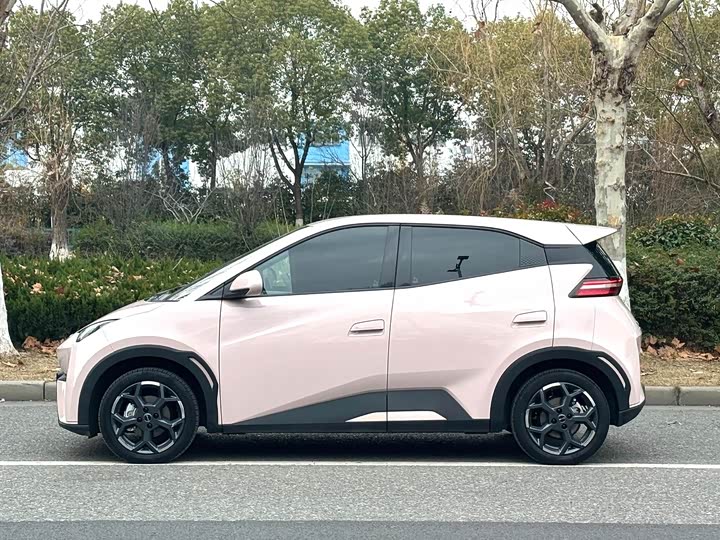 Фото 3 - BYD Seagull