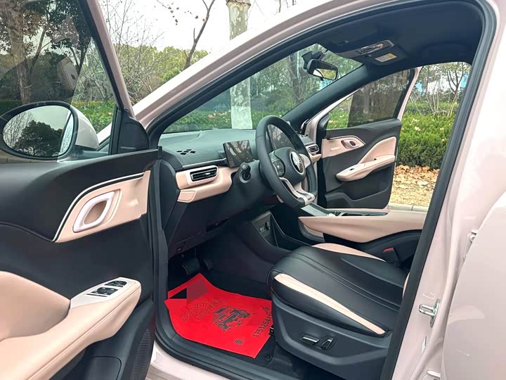 Фото 4 - BYD Seagull