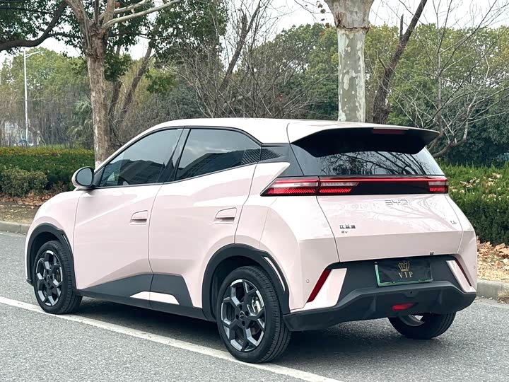 Фото 8 - BYD Seagull