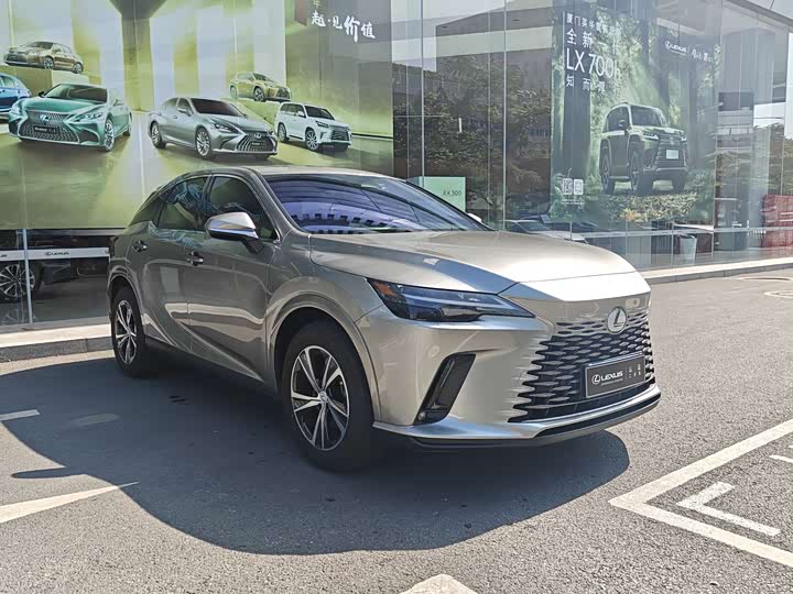 Фото 3 - Lexus RX