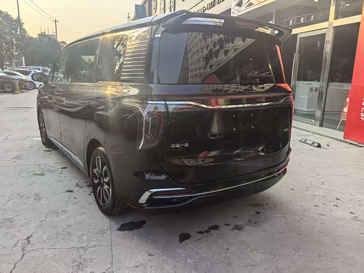 Фото 4 - Hongqi HQ9