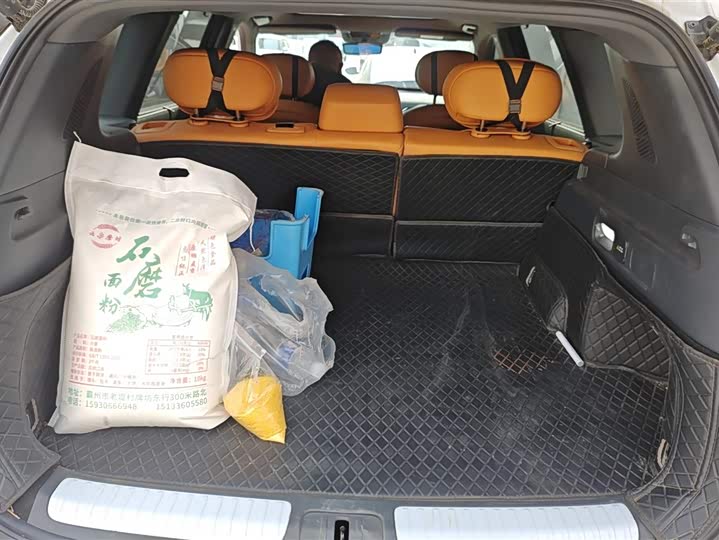 Фото 4 - Dongfeng Yipai eπ 008