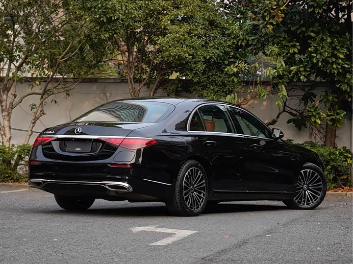 Фото 4 - Mercedes-Benz S-Class Hybrid