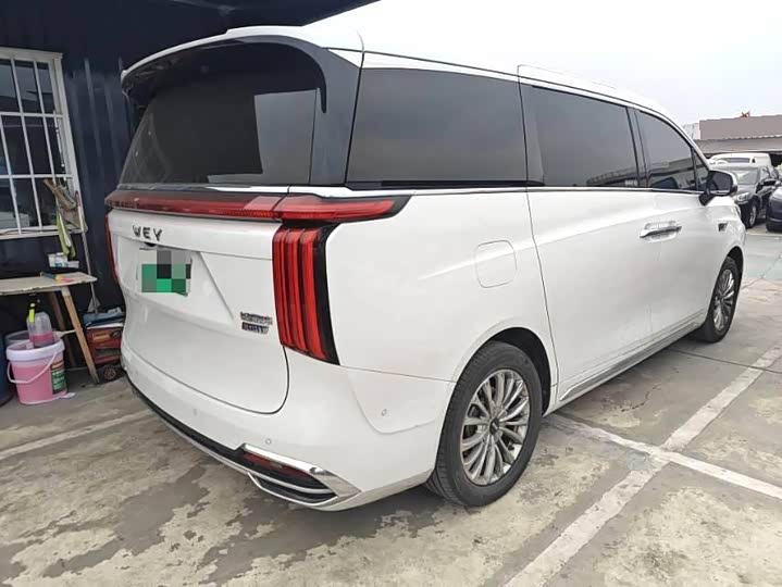 Фото 8 - Wey Gaoshan