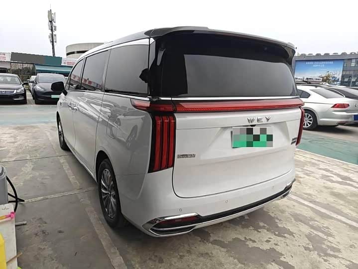 Фото 9 - Wey Gaoshan