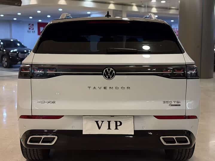 Фото 8 - Volkswagen Tavendor