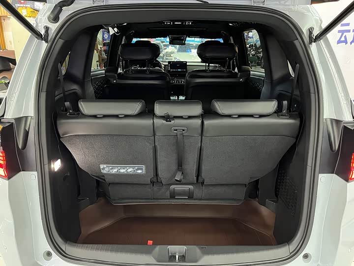 Фото 9 - Honda Elysion