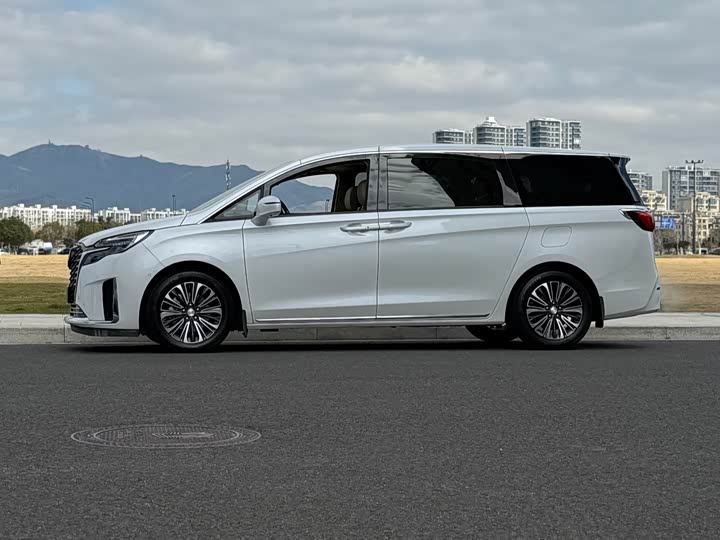 Фото 3 - Buick GL8 ES