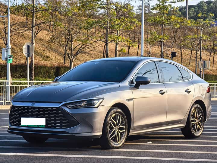 Фото 1 - BYD Qin Plus