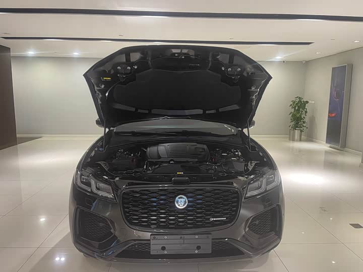 Фото 9 - Jaguar F-Pace