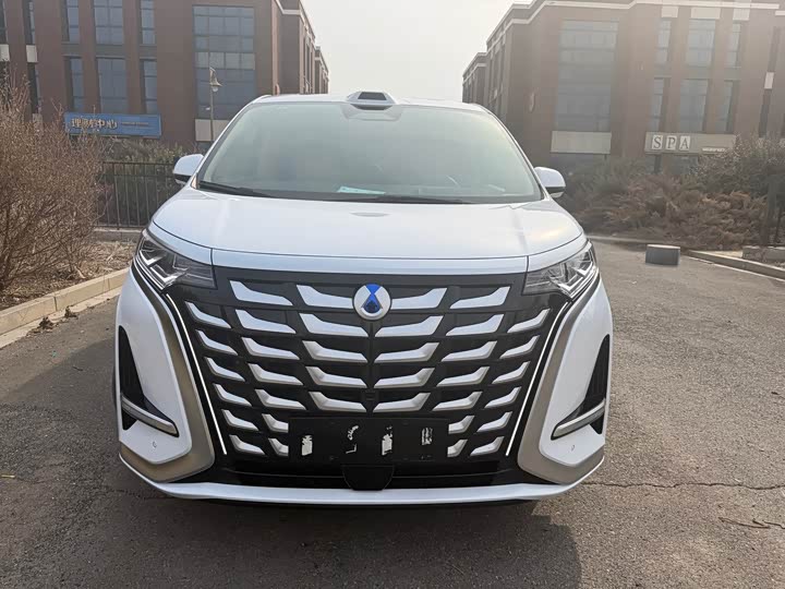 Фото 2 - Denza D9