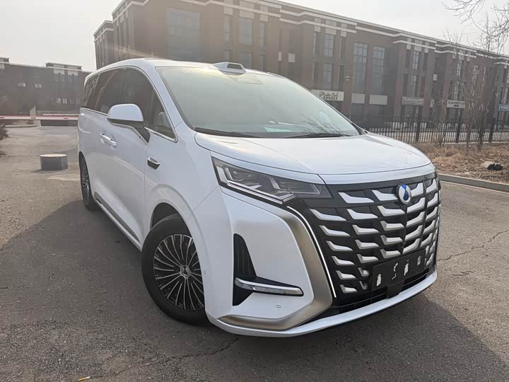 Фото 3 - Denza D9