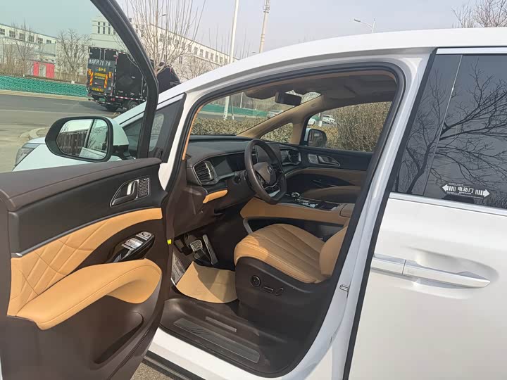 Фото 4 - Denza D9