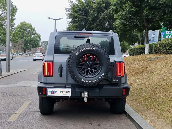 Фото 5 - Tank 300