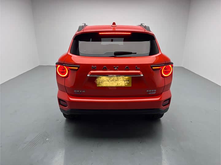 Фото 5 - Haval H-Dog Hybrid