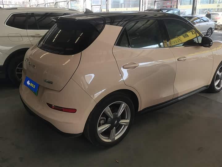 Фото 3 - Ora Good Cat (03)