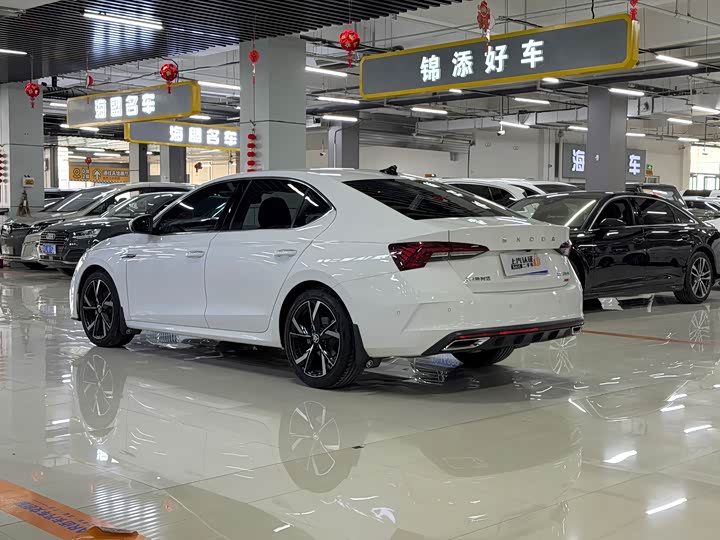 Фото 5 - Skoda Octavia Pro