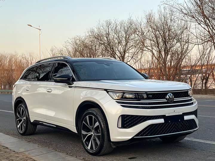 Фото 3 - Volkswagen Tavendor