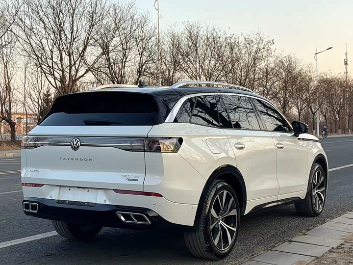 Фото 4 - Volkswagen Tavendor