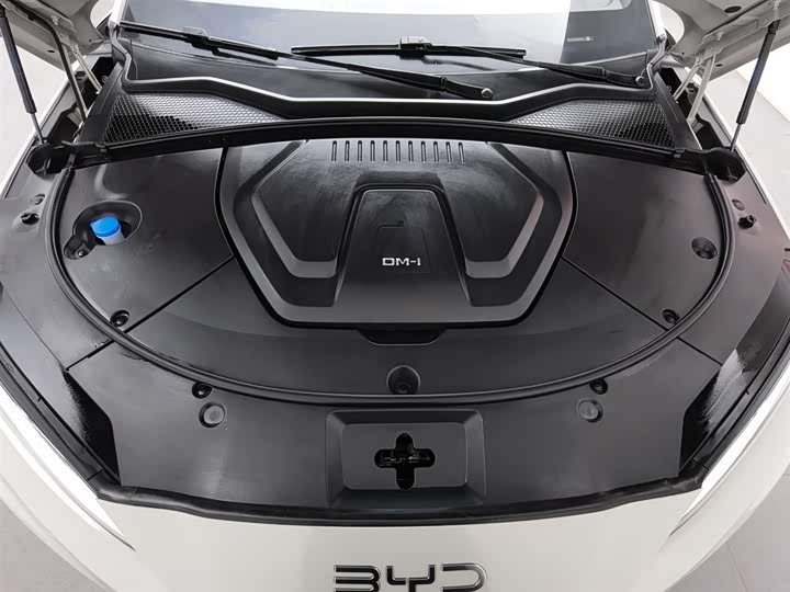 Фото 6 - BYD Song Plus Hybrid/EV