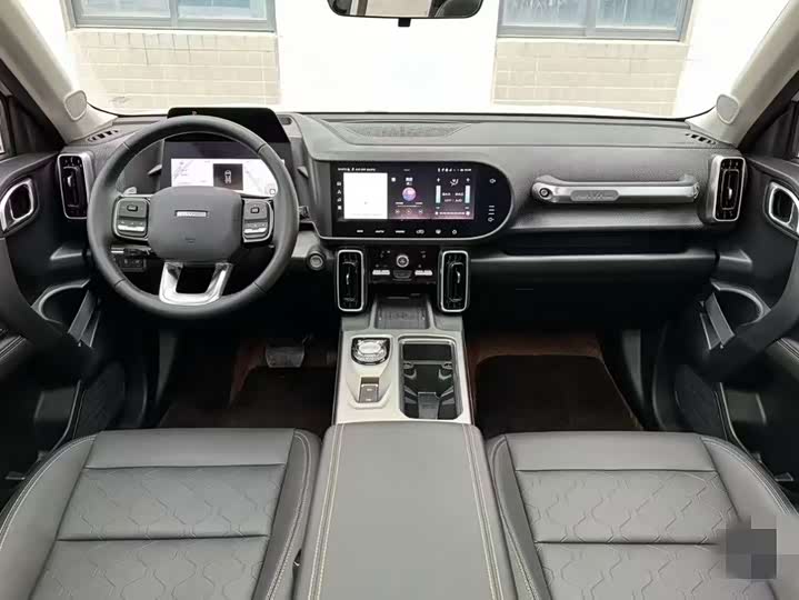 Фото 3 - Haval Dargo