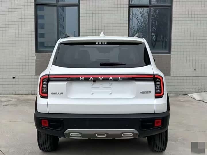 Фото 5 - Haval Dargo