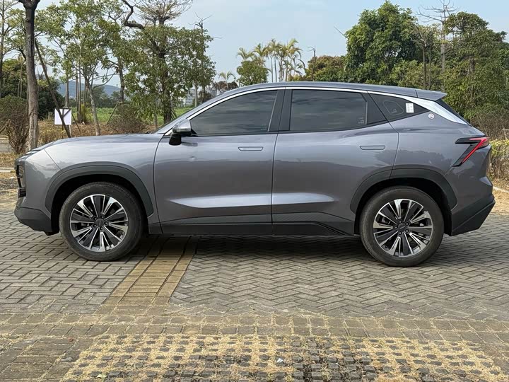 Фото 4 - Jetour Dashing