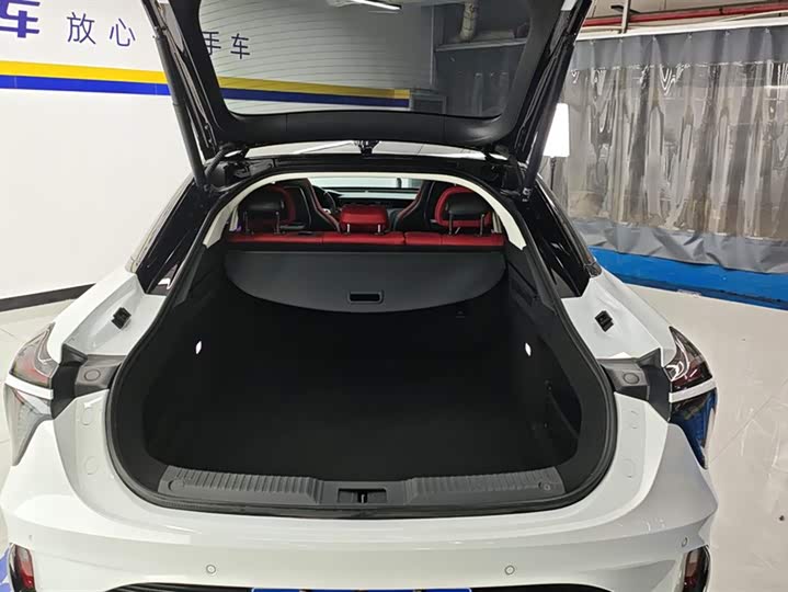 Фото 4 - Hongqi H6