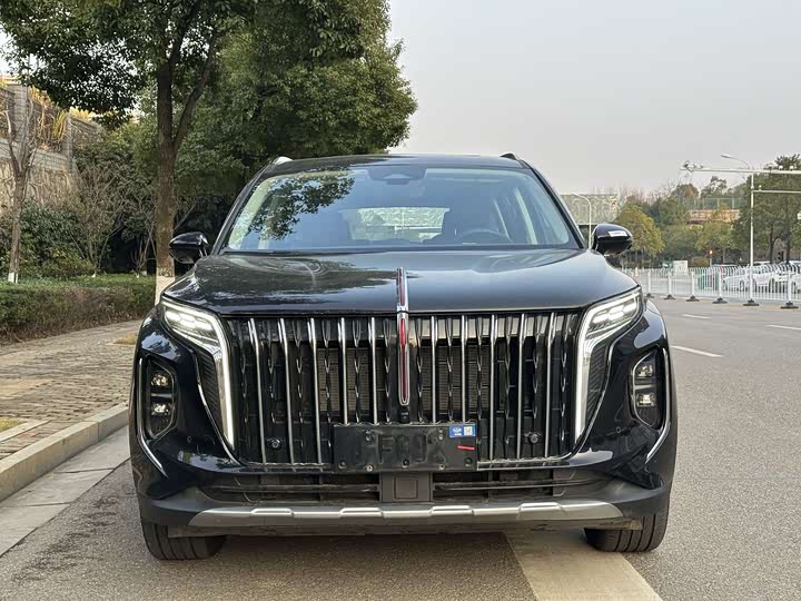 Фото 2 - Hongqi HS7 Hybrid