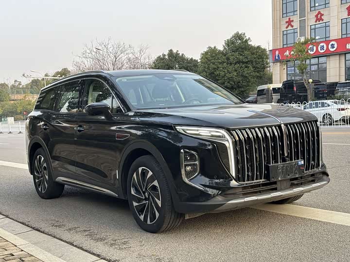Фото 3 - Hongqi HS7 Hybrid