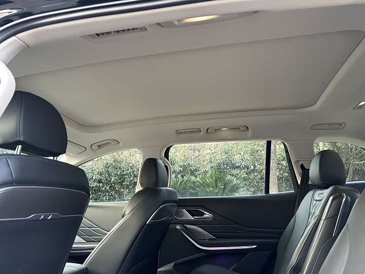 Фото 5 - Hongqi HS7 Hybrid