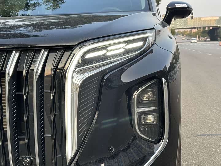 Фото 9 - Hongqi HS7 Hybrid