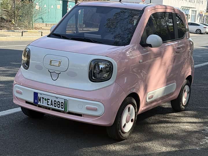 Фото 3 - Bestune Pony