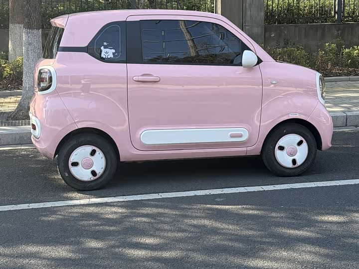 Фото 9 - Bestune Pony