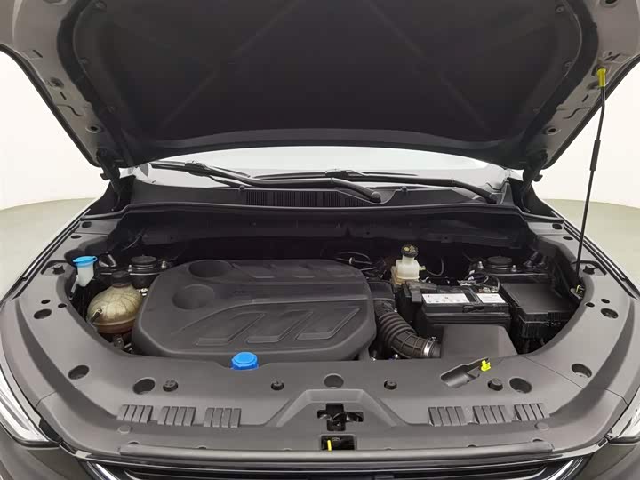 Фото 6 - Changan Oshan X7 Plus