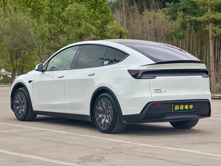 Фото 5 - Tesla Model Y