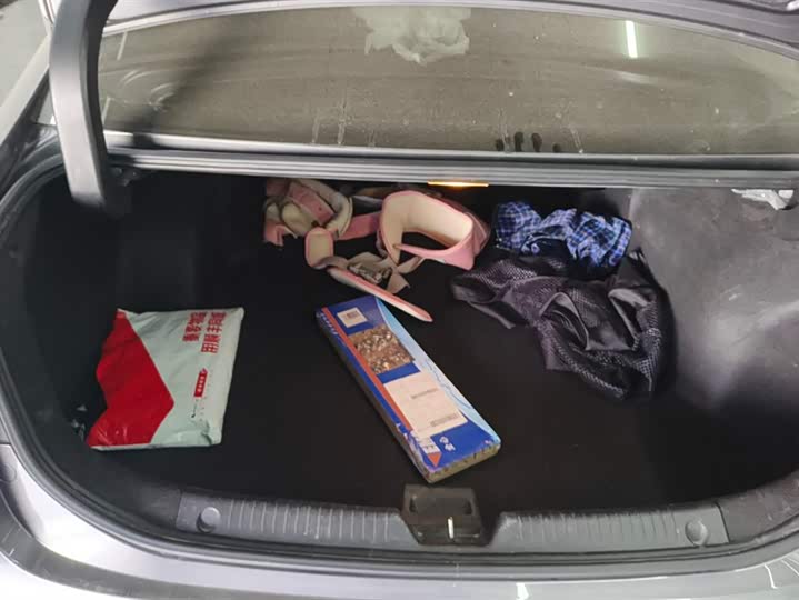 Фото 4 - GAC Trumpchi GA6