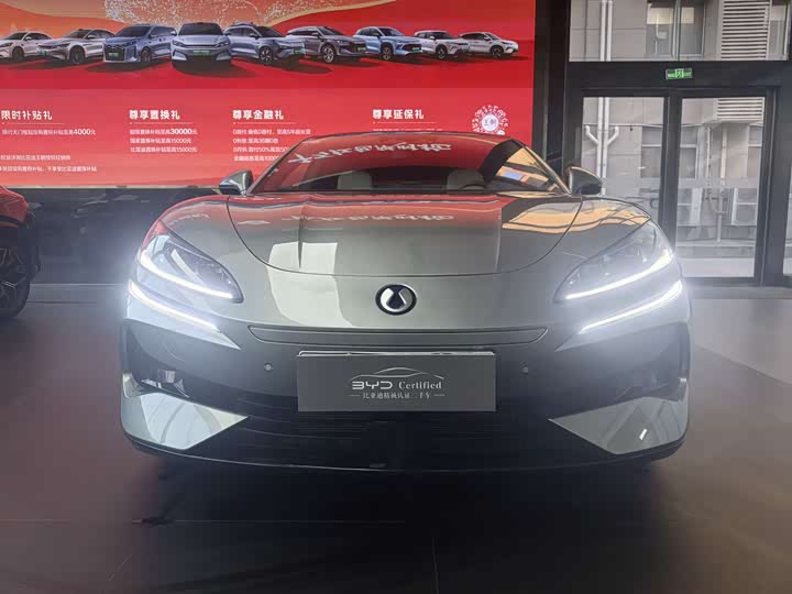 Фото 1 - Denza Z9GT