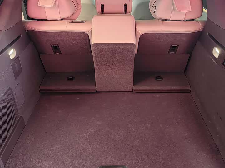 Фото 7 - Denza Z9GT