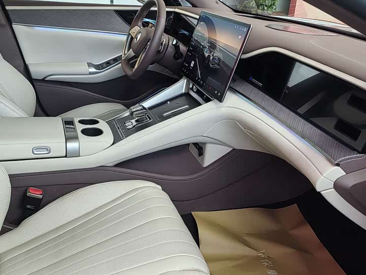 Фото 9 - Denza Z9GT