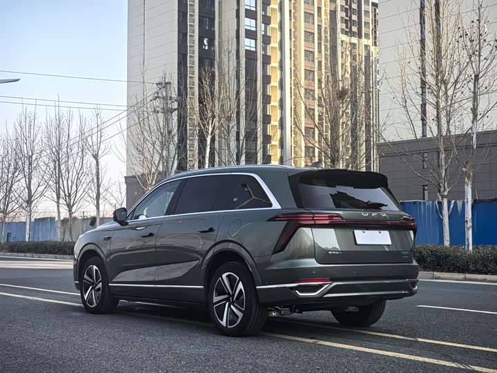 Фото 4 - Wey Lanshan