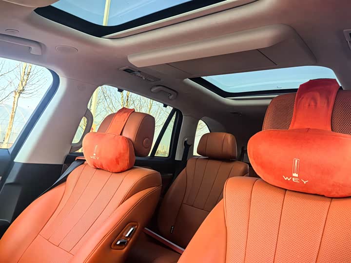 Фото 8 - Wey Lanshan