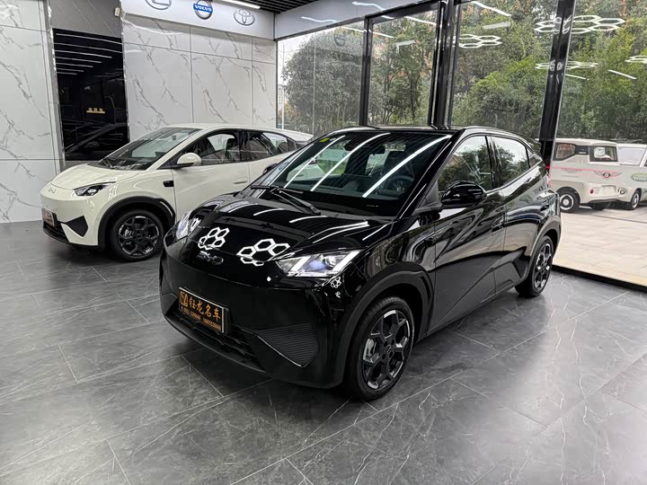 Фото 1 - BYD Seagull