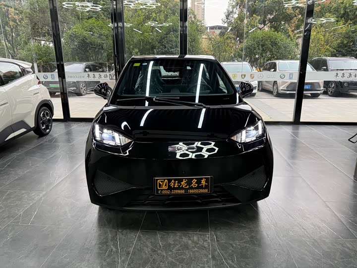 Фото 2 - BYD Seagull