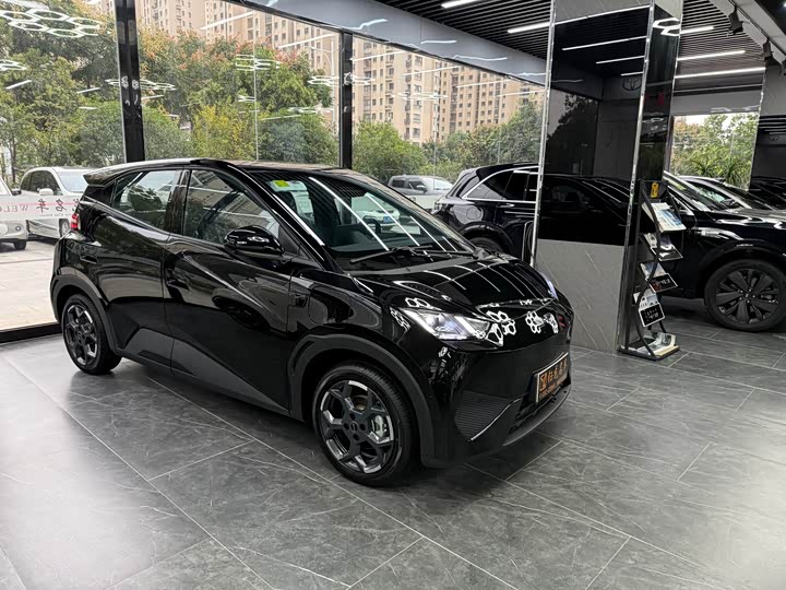 Фото 3 - BYD Seagull